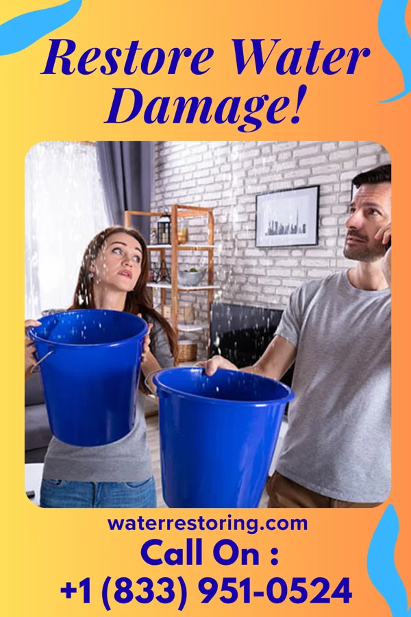 water restoration Citywide Emergency Restoration Partners Plum Valley