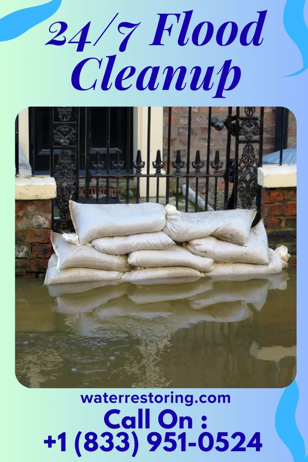 24/7 Flood Cleanup in Plum Valley, IL