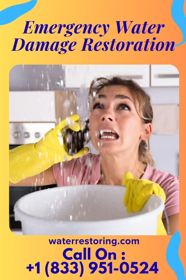 Emergency Water Damage Restoration in Plum Valley, IL