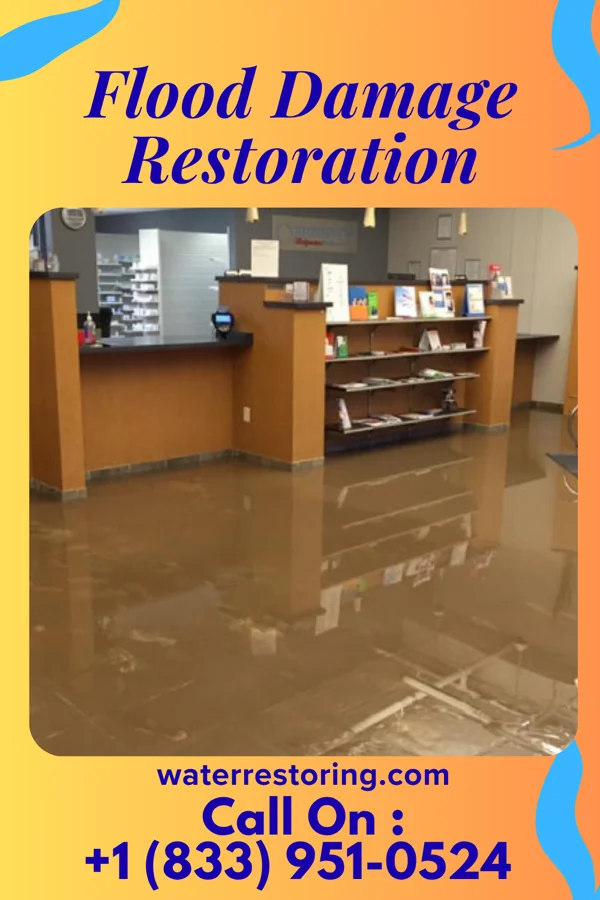 Flood Damage Restoration in Plum Valley, IL