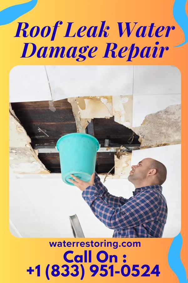 Roof Leak Water Damage Repair in Plum Valley, IL
